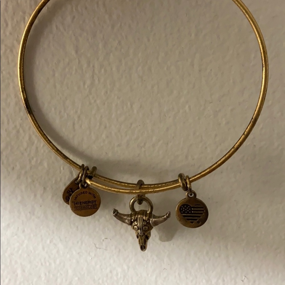 Alex and Ani Spirited Skull Bracelet